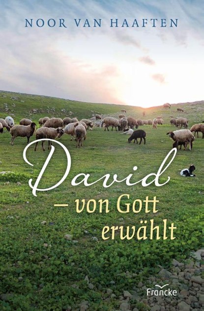 David - von Gott erwählt, Noor van Haaften - Paperback - 9783963622298