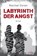 Labyrinth der Angst, Rachel Dylan - Paperback - 9783963622519