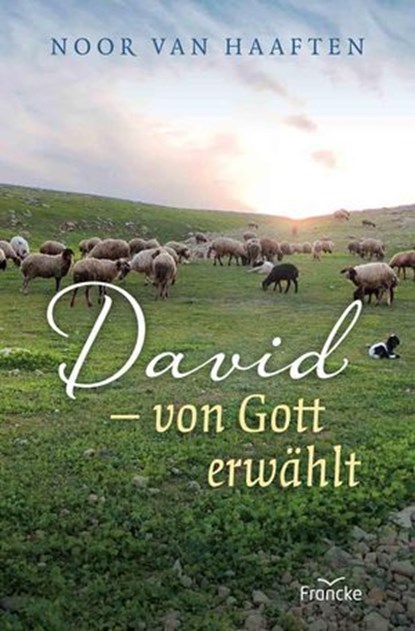 David - von Gott erwählt, Noor van Haaften - Ebook - 9783963628658
