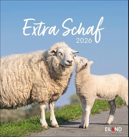 Extra Schaf Postkartenkalender 2026, Eiland - Paperback - 9783964023742