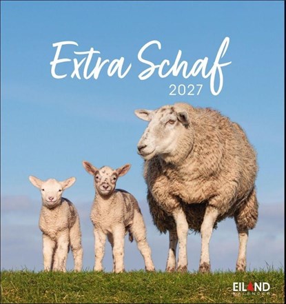 Extra Schaf Postkartenkalender 2027, Eiland - Paperback - 9783964024206