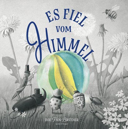 Es fiel vom Himmel, Terry Fan ; Eric Fan - Gebonden - 9783964281173