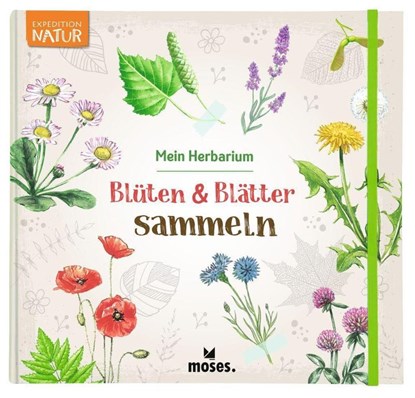 Blüten & Blätter sammeln, Anke Küpper - Paperback - 9783964551924
