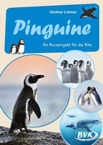 Pinguine, Günther Lohmer - Gebonden - 9783965201699