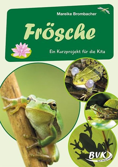 Frösche, Mareike Brombacher - Gebonden - 9783965202917