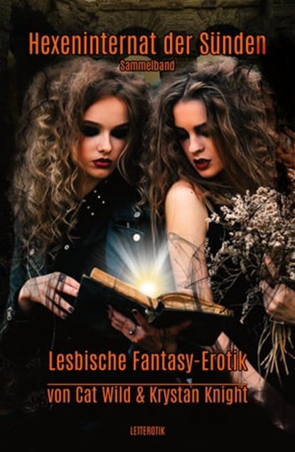 Hexeninternat der Sünden, Krystan Knight ; Cat Wild - Ebook - 9783965445505
