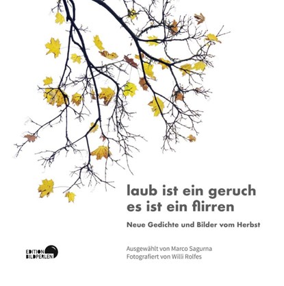 laub ist ein geruch es ist ein flirren, Michael Augustin ; Stefan Heuer ; Jana Hradilová ; Inka Bach - Gebonden - 9783965460133