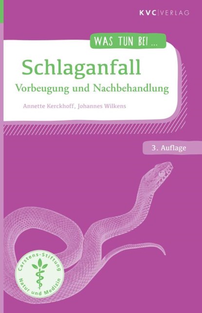 Schlaganfall, Annette Kerckhoff ; Johannes Wilkens - Paperback - 9783965620087