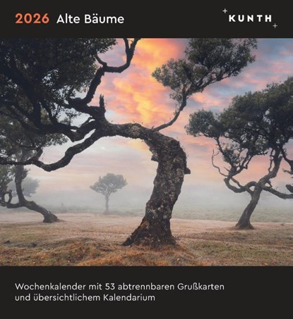 Alte Bäume - KUNTH Postkartenkalender 2026, niet bekend - Paperback - 9783965914377