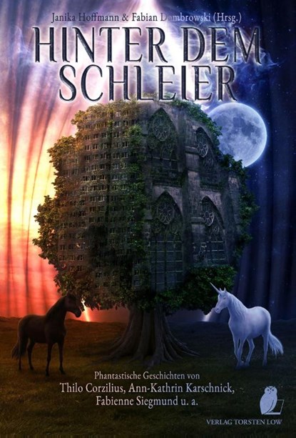 Hinter dem Schleier, Janika Hoffmann ; Fabian Dombrowski - Paperback - 9783966290197