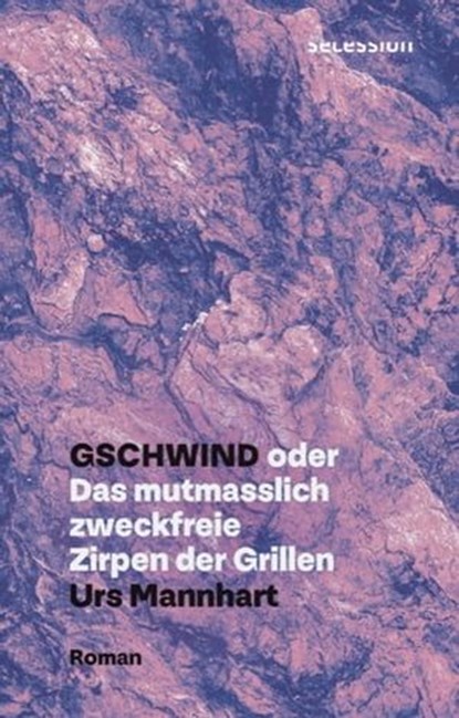 Gschwind, Urs Mannhart - Ebook - 9783966390408