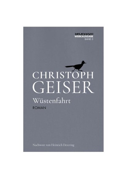 Wüstenfahrt, Christoph Geiser - Gebonden - 9783966390606