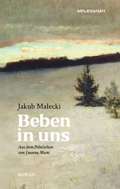 Beben in uns, Jakub Małecki - Ebook - 9783966390750