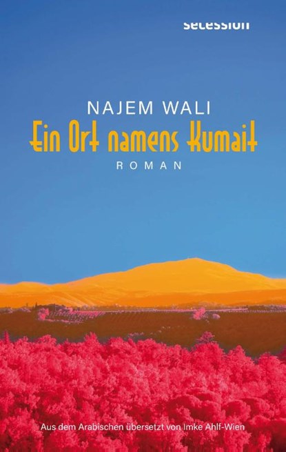 Ein Ort namens Kumait, Najem Wali - Gebonden - 9783966391344