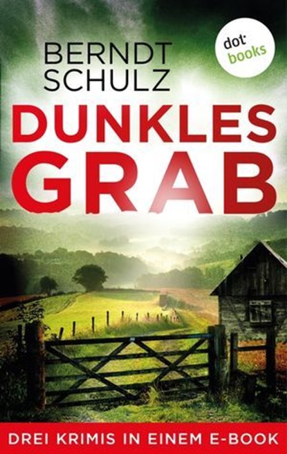 Dunkles Grab, Berndt Schulz - Ebook - 9783966557801