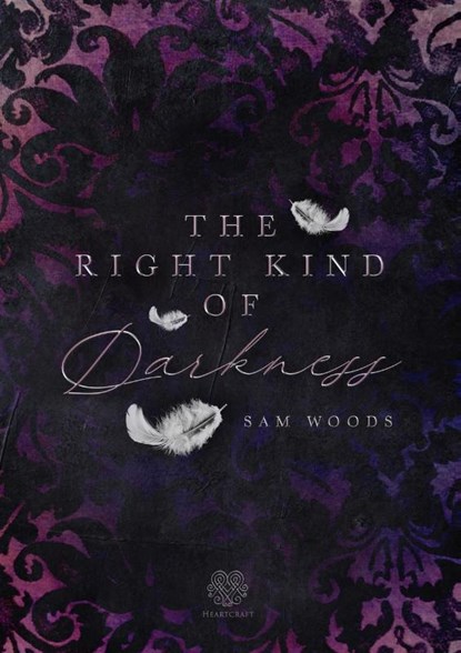 The right kind of Darkness, Sam Woods - Paperback - 9783966989589
