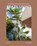 Brazil Living, Gestalten - Gebonden - 9783967042443