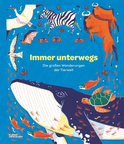 Immer unterwegs, Sara Forster ; Olivia Forster - Gebonden - 9783967047899