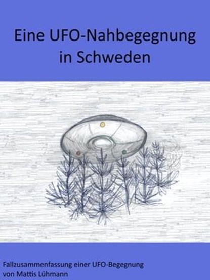 Eine UFO-Nahbegegnung in Schweden, Mattis Lühmann - Ebook - 9783967244625