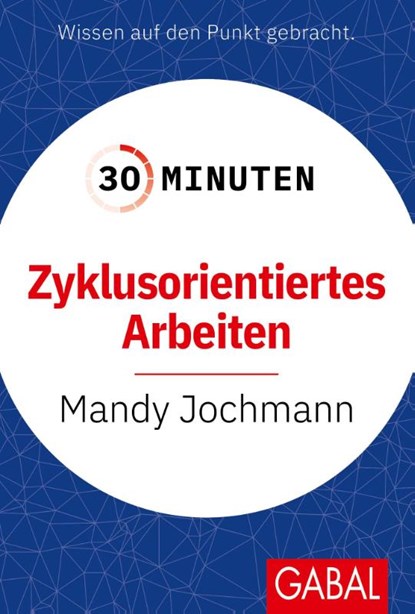 30 Minuten Zyklusorientiertes Arbeiten, Mandy Jochmann - Paperback - 9783967392593