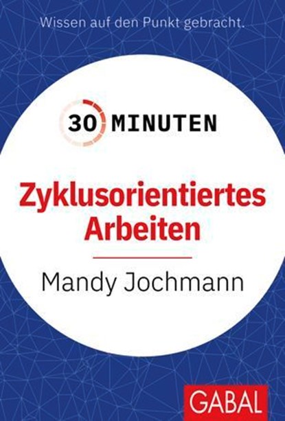 30 Minuten Zyklusorientiertes Arbeiten, Mandy Jochmann - Ebook - 9783967405262