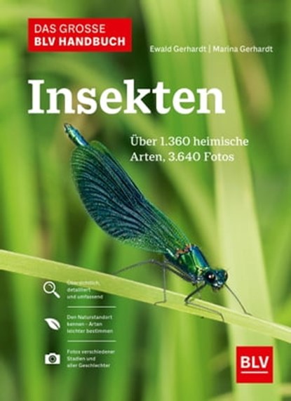Das große BLV Handbuch Insekten, Ewald Gerhardt ; Marina Gerhardt - Ebook - 9783967470512