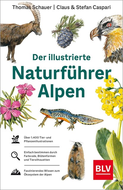 Der illustrierte Naturführer Alpen, Thomas Schauer ;  Stefan Caspari - Paperback - 9783967470604
