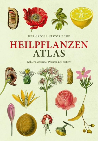 Der große Heilpflanzen-Atlas, Hermann Adolph Köhler - Gebonden - 9783968491158