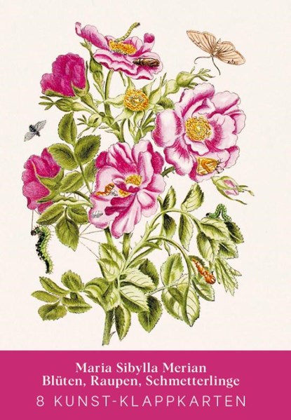 Maria Sibylla Merian - Acht Kunst-Klappkarten, niet bekend - Paperback - 9783968492049