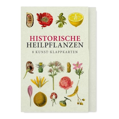 Historische Heilpflanzen - Acht Kunst-Klappkarten, niet bekend - Paperback - 9783968492063