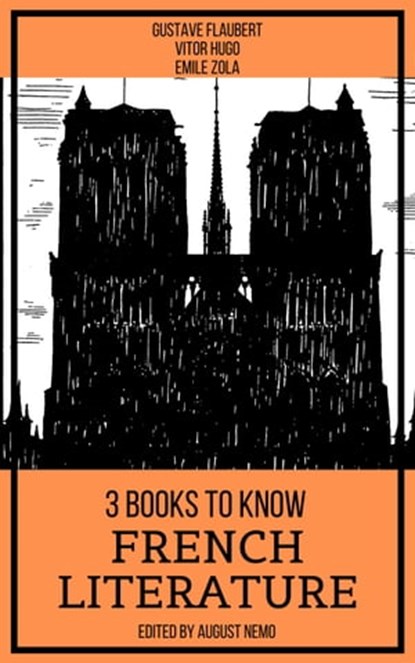 3 Books To Know French Literature, Gustave Flaubert ; Victor Hugo ; Émile Zola ; August Nemo - Ebook - 9783968582825