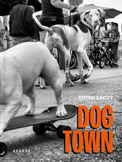 Dogtown, Dotan Saguy - Gebonden - 9783969001431