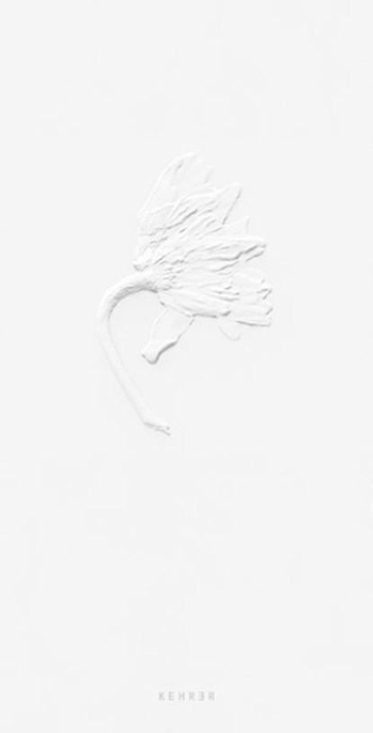Ephemeral Field Journal, Sarah Schorr - Paperback - 9783969002018