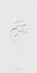Ephemeral Field Journal, Sarah Schorr - Paperback - 9783969002018