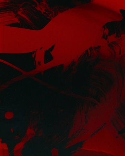 Mirror - Collaborative Pictures by Merrick d'Arcy Irvine x Julia Bajanova, Merrick d'Arcy-Irvine ; Julia Bajanova - Gebonden - 9783969122167