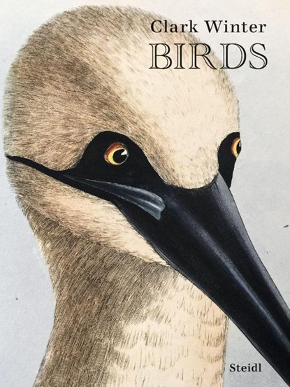 Birds, Clark Winter - Gebonden - 9783969993583