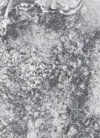 Roni Horn: A Dream Not Dreamt, Roni Horn - Gebonden - 9783969993972