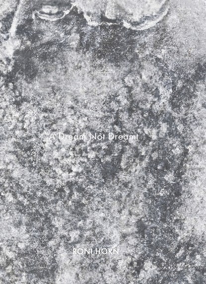 Roni Horn: A Dream Not Dreamt, Roni Horn - Gebonden - 9783969993972