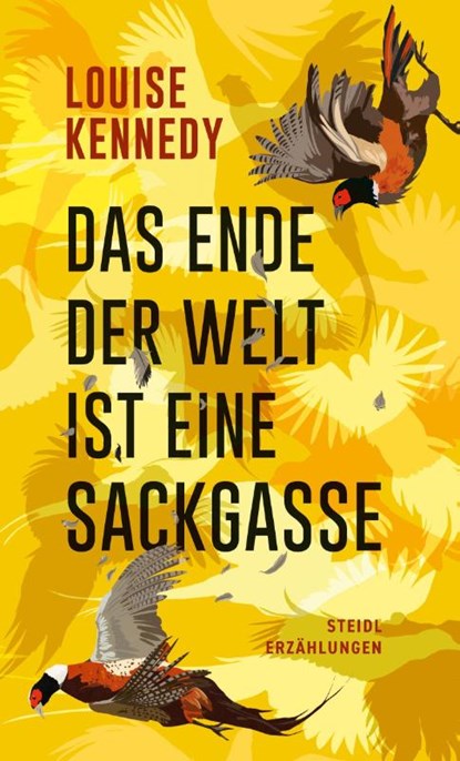 Das Ende der Welt ist eine Sackgasse, Louise Kennedy - Gebonden - 9783969994580