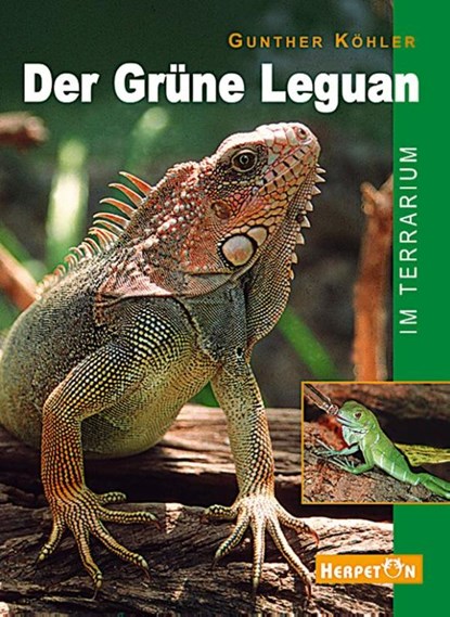 Der Grüne Leguan im Terrarium, Gunther Köhler - Paperback - 9783980621465
