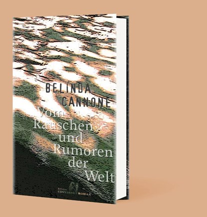 Vom Rauschen und Rumoren der Welt, Belinda Cannone - Gebonden - 9783981976342