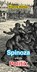 Spinoza und die Politik, Étienne Balibar - Paperback - 9783982410548