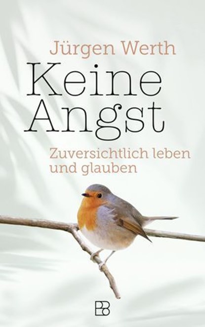 Keine Angst, Jürgen Werth - Ebook - 9783987909603