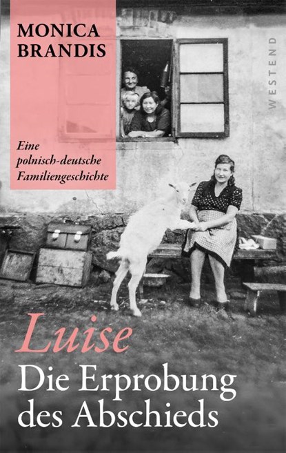 Luise. Die Erprobung des Abschieds, Monica Brandis - Paperback - 9783987913471