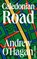 Caledonian Road, Andrew O'Hagan - Gebonden - 9783988160034