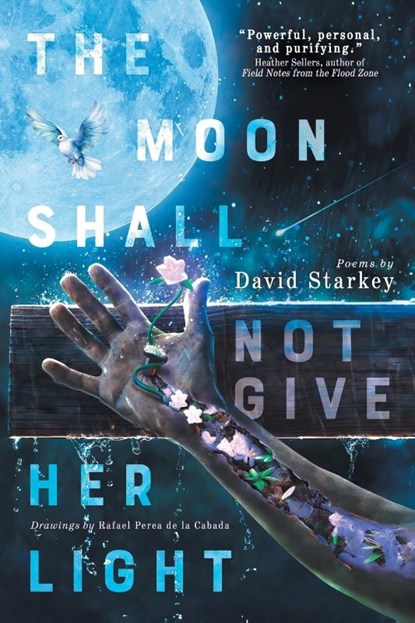 The Moon Shall Not Give Her Light, David Starkey - Paperback - 9783988321251