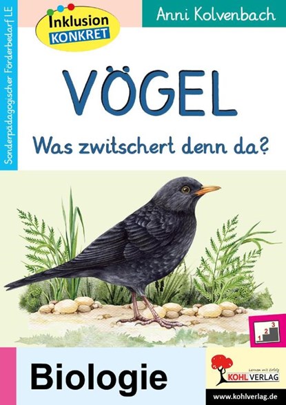 Vögel, Anni Kolvenbach - Paperback - 9783988410344