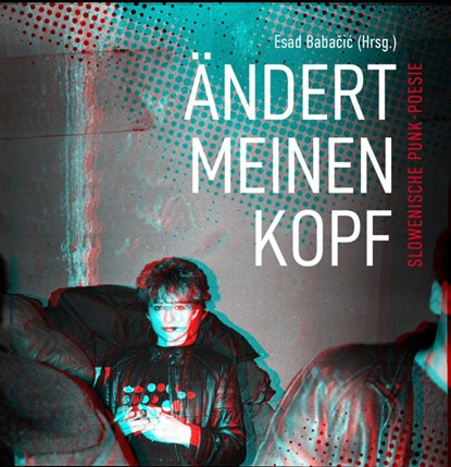 Ändert meinen Kopf, Esad Babacic - Gebonden - 9783988570093