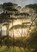 Finsternis Herrlichkeit, Uwe K. Paschke - Paperback - 9783988860408