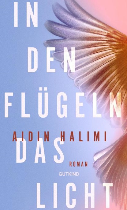 In den Flügeln das Licht, Aidin Halimi - Gebonden - 9783989410626